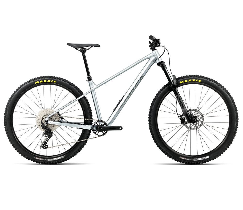 Orbea LAUFEY H30 Smooth Silver - Titanium