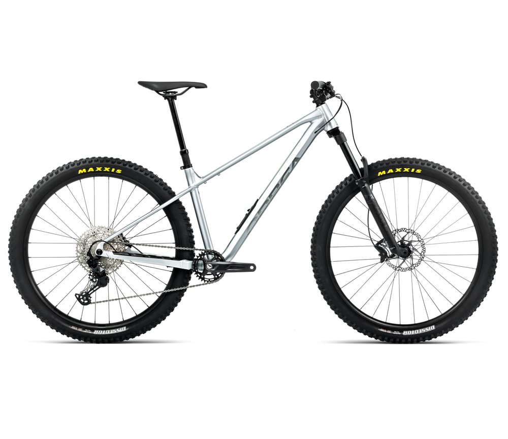 Orbea LAUFEY H10 Smooth Silver - Titanium
